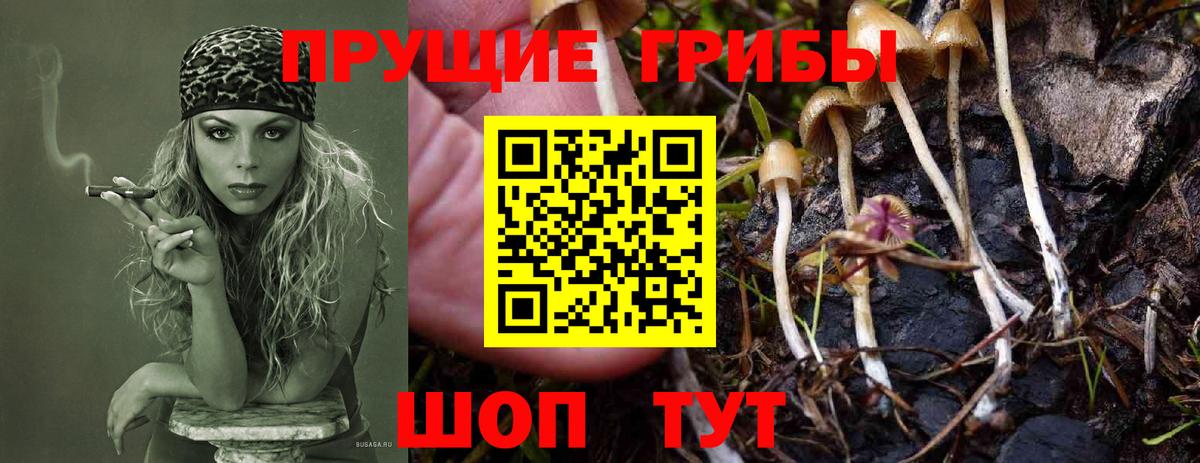 Псилоцибиновые грибы MAGIC MUSHROOMS  Псилоцибиновые грибы мухоморы  Вход с VPN  Чапаевск 